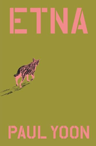 Etna: A Novel cover